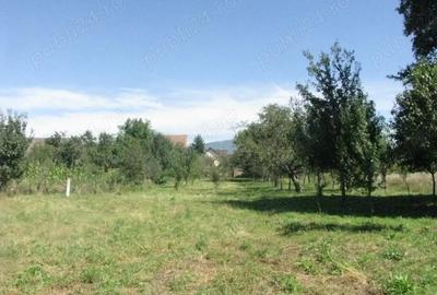 Teren de 4400 mp, în Prejmer - 6