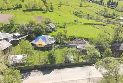 Casă individuală cu 3 camere cu Teren 3302 Mp în Bicazu Ardelean - 3