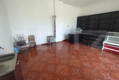 Casă cu 3 camere cu Teren 824 Mp în Budacu de Jos - 11