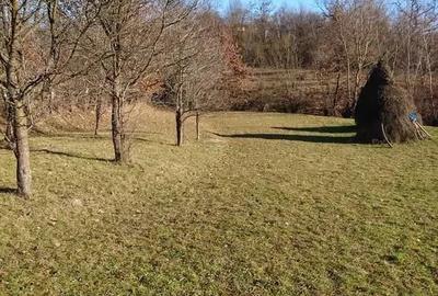 Teren de 3000 mp, în Central