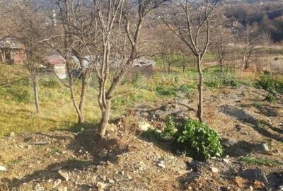 Teren de 1800 mp, în Moigrad-Porolissum