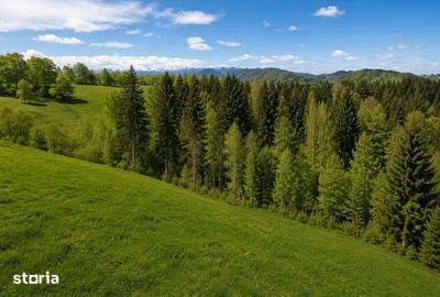 Teren de 18500 mp, în Bran - 4