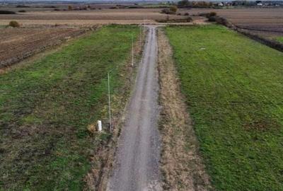 Teren de 600 mp, în Păulești - 1