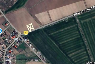 Teren de 1000 mp, în Ciolpani