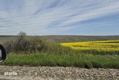 Teren de 15900 mp, în Probota