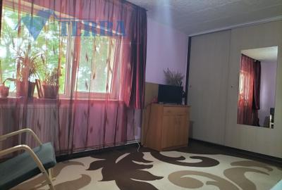 Apartament cu 2 camere decomandat în Mioveni