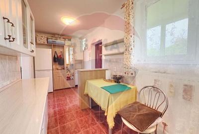 Apartament cu 2 camere nedecomandat, mobilat în Brâncoveanu - 5