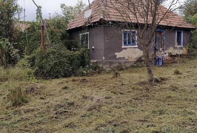 Casă cu Teren 590 Mp în Rediu - 3