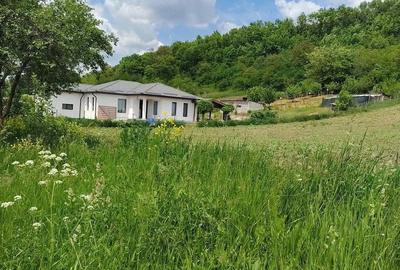 Casă cu Teren 1600 Mp în Cerghid - 10