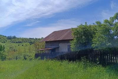 Teren de 2276 mp, în Drăgăneasa - 6