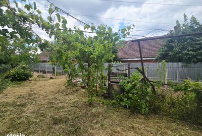 Casă cu 2 camere cu Teren 450 Mp în Ultracentral - 3