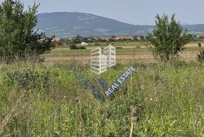 Spațiu comercial, în Șercaia - 3