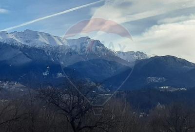 Teren Construcții intravilan de 9735 mp, în Predeluț - 2