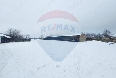 Casă cu 5 camere cu Teren 7531 Mp în Sacu - 9