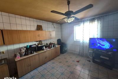 Casă cu Teren 250 Mp în Cișmigiu