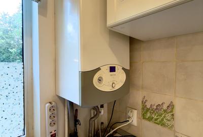 Apartament cu 2 camere decomandat, mobilat în Ferdinand - 15
