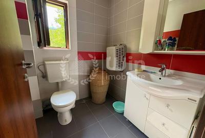 Apartament cu 3 camere decomandat, mobilat în Grigorescu - 9