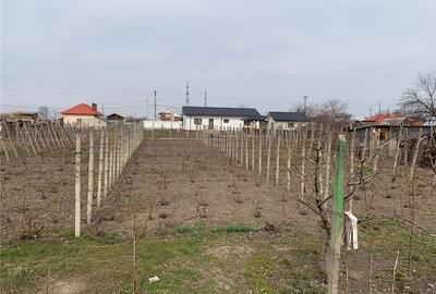 Teren de 928 mp, în Central - 2