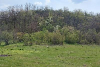 Teren de 3100 mp, în Axintele - 6