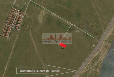 Teren Construcții intravilan de 1000 mp, în Nord-Est - 7