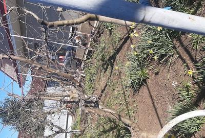 Casă cu 4 camere cu Teren 800 Mp în Central - 2