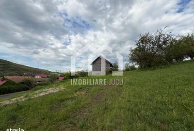 Spațiu comercial, în Căianu - 6