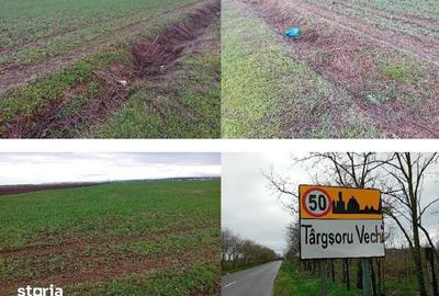 Teren de 12500 mp, în Târgșoru Vechi