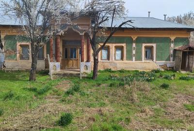 Casă cu 2 camere cu Teren 1500 Mp în Brânceni - 3