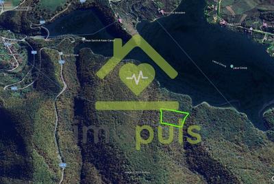 Teren extravilan de 20720 mp, în Cinciș-Cerna - 6