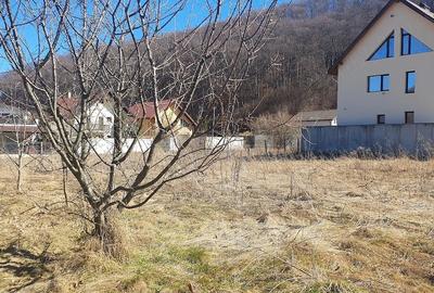 Teren de 531 mp, în Bunloc - 5
