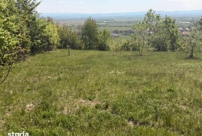 Teren de 1400 mp, în Fărcașa - 2