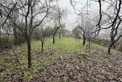 Casă cu 3 camere cu Teren 1114 Mp în Vechea - 3