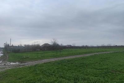 Teren în Frumușani