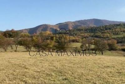 Teren de 972 mp, în Gura Râului - 3