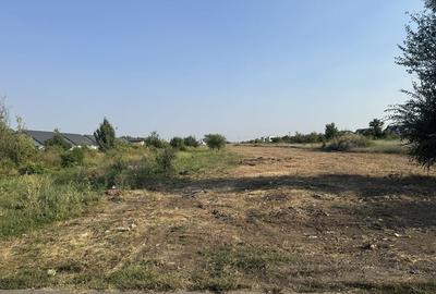 Teren de 3800 mp, în Olteni