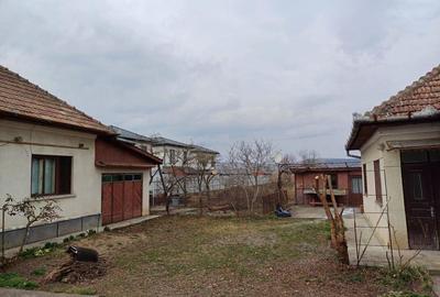 Casă cu 4 camere cu Teren 1900 Mp în Apahida - 2