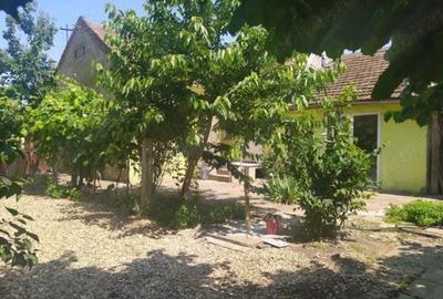 Casă cu 3 camere cu Teren 765 Mp în Grădiște