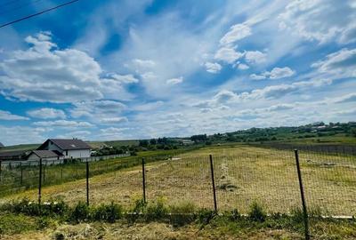 Teren de 5500 mp, în Central