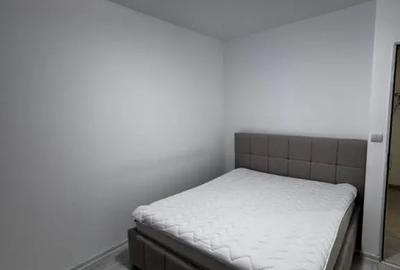 Apartament cu 3 camere decomandat, mobilat în Valea Rosie - 9