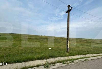 Teren de 12600 mp, în Stăuceni