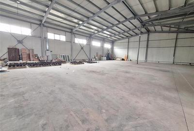Spațiu industrial, de 520 mp, în 9 Mai - 2