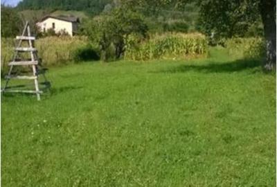 Teren de 2400 mp, în Brebu - 2
