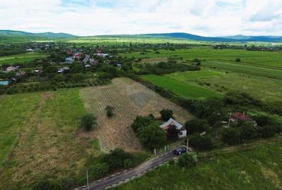 Teren Construcții intravilan de 4229 mp, în Blidari (Cârligele) - 4
