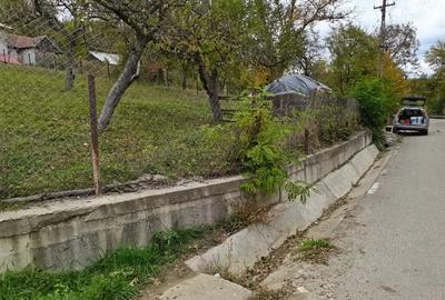 Teren de 1600 mp, în Provița de Sus