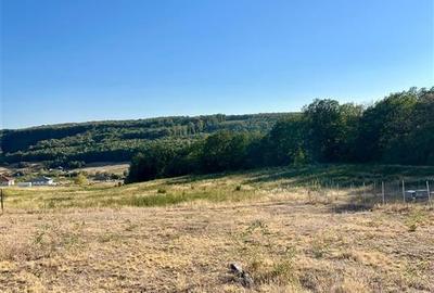 Teren intravilan de 1436 mp, în Betfia