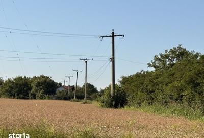 Teren de 3000 mp, în Snagov
