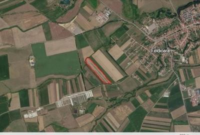 Teren de 50000 mp, în Feldioara