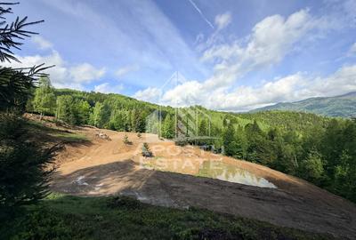 Teren Construcții extravilan de 18000 mp, în Exterior Sud - 13