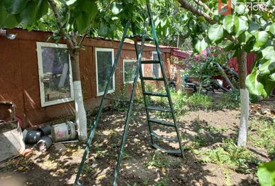 Casă individuală cu 6 camere cu Canalizare în Plopi - 6