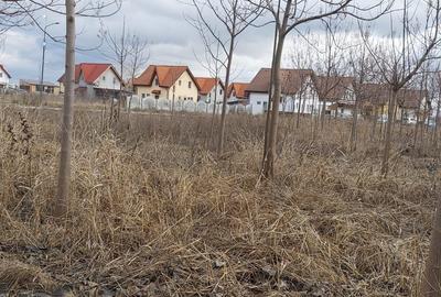 Teren Construcții intravilan de 275 mp, în Sud - 8